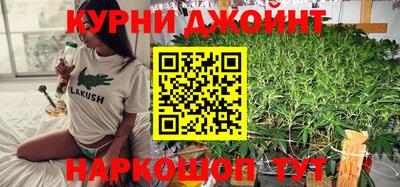 прущие крисы Будённовск