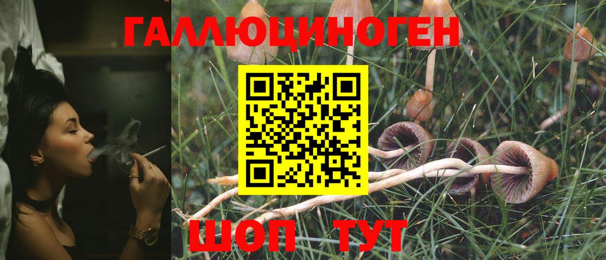 что такое наркотик  Вход с VPN  Сертолово  Галлюциногенные грибы Cubensis 
